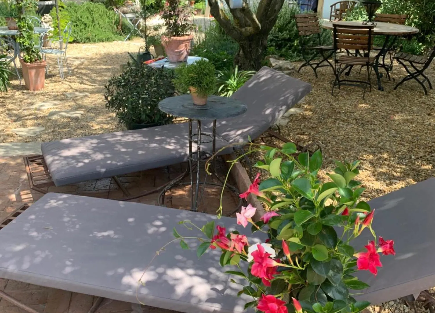 **** Bed & Breakfast L'Epicure- Zimmer Marsanne Vacqueyras France